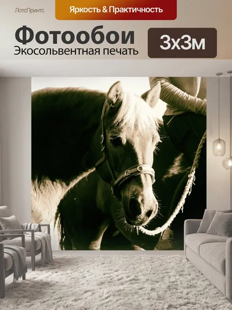 Фотообои Конный спорт