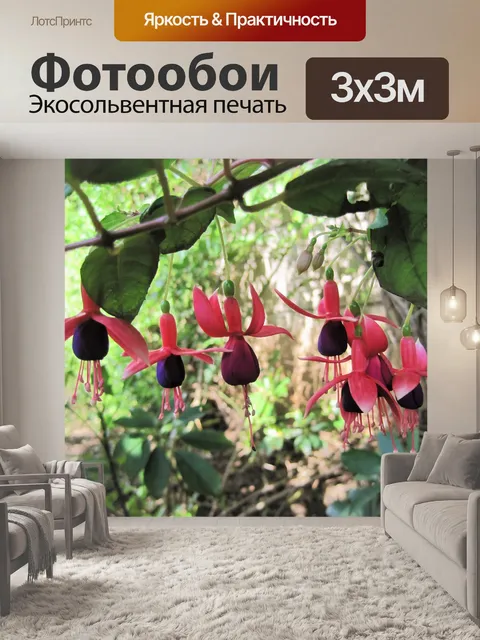Фотообои розовый и фиолетовый фуксия цветы