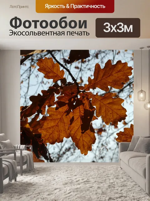 Фотообои Дубовые листья