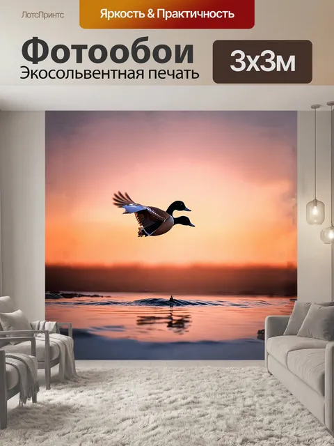 Фотообои огарь поднимается в воздух, создавая неповторимый силуэт на фоне заката