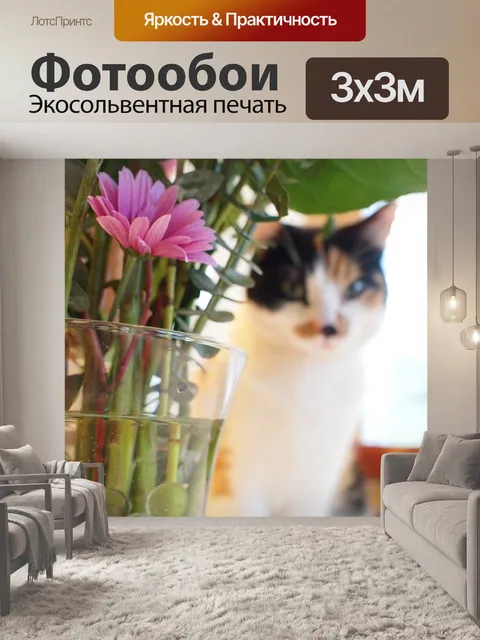 Фотообои Кошка