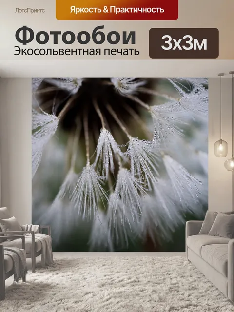 Фотообои Одуванчик