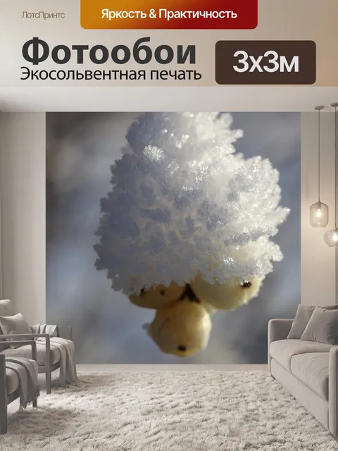 Фотообои Замороженный