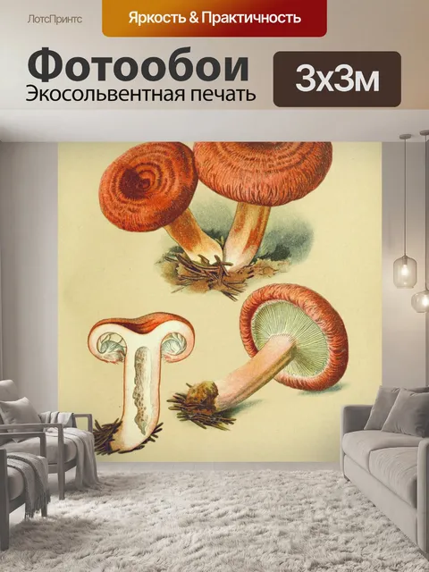 Фотообои Грибы ядовитые старинные искусства
