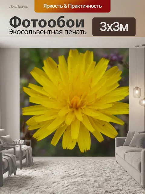 Фотообои Одуванчик
