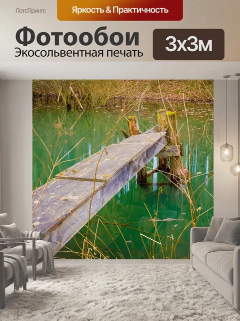 Фотообои Сеть