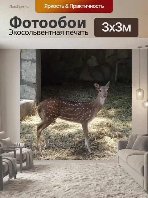 Фотообои Гези