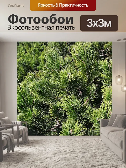 Фотообои Горная сосна