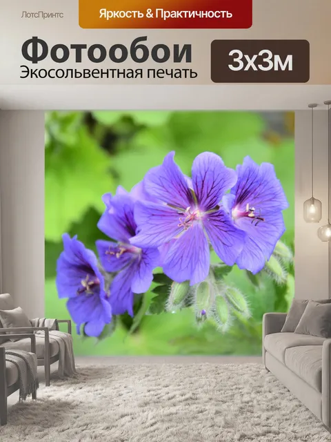 Фотообои Голландские цветы в садах 23