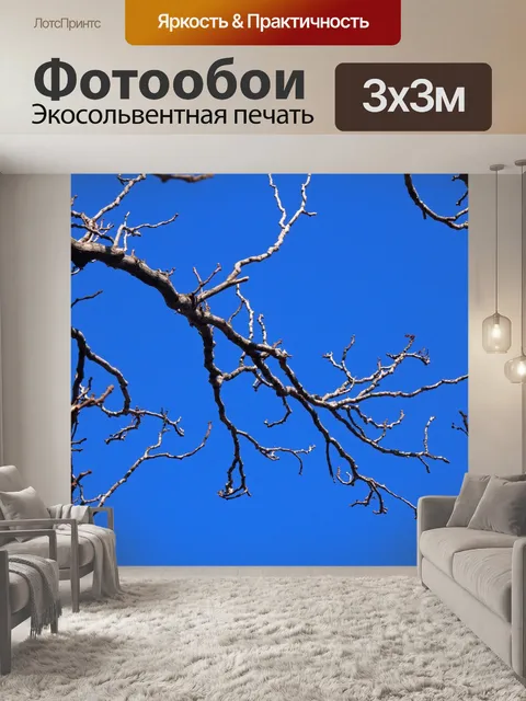 Фотообои Голые ветви на фоне голубого неба