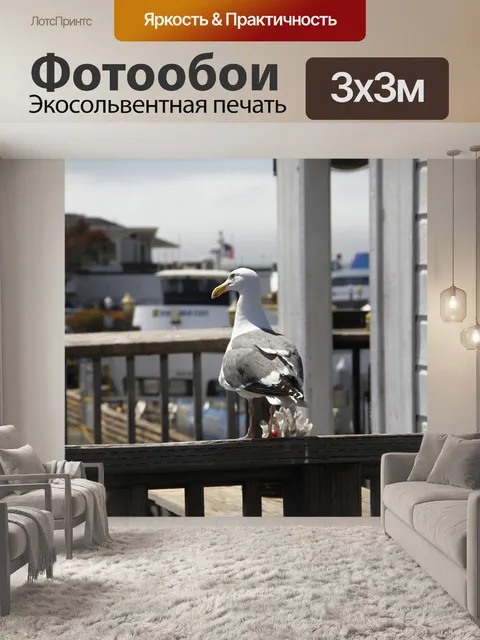 Фотообои Птица