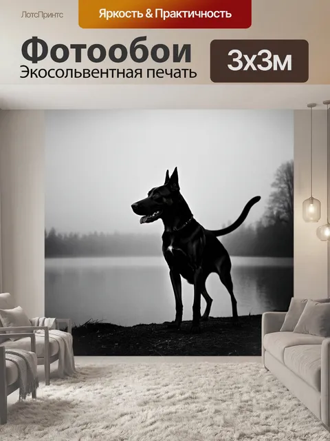 Фотообои создайте атмосферное изображение бельгийской овчарки малинуа, стоящей на берегу озера в тумане