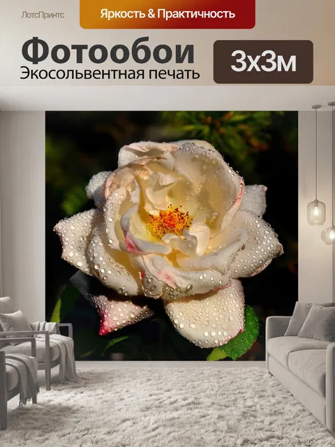 Фотообои Роза
