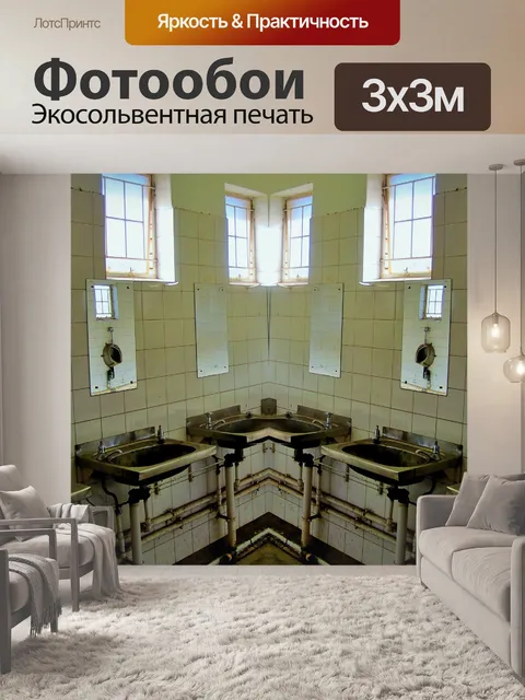 Фотообои уголок с раковинами