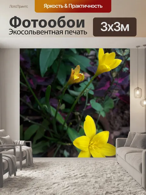 Фотообои Желтые цветы