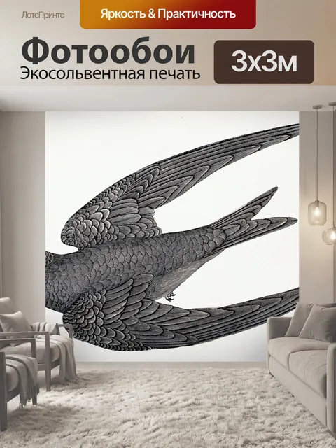 Фотообои Винтажная иллюстрация ласточки