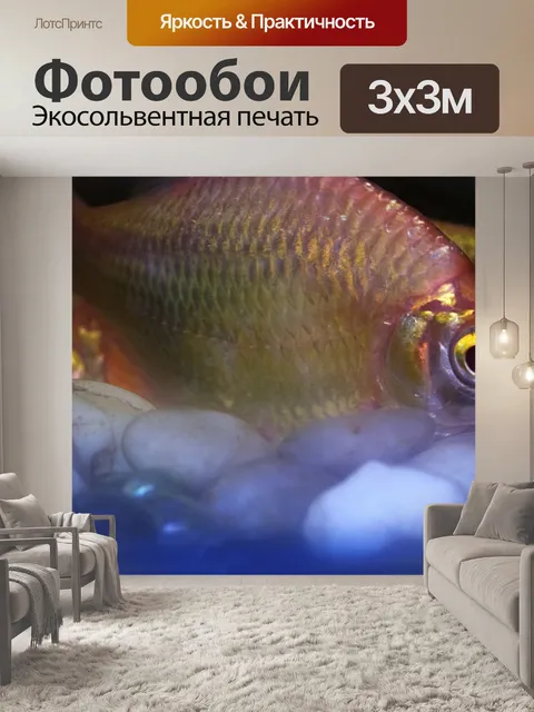 Фотообои Аквариумные рыбки