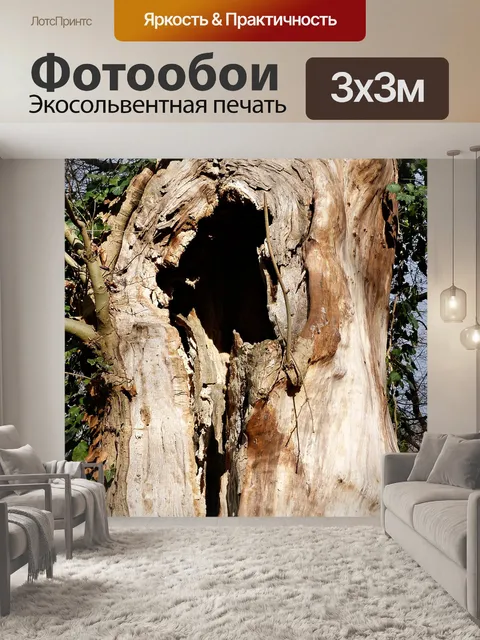 Фотообои Природа