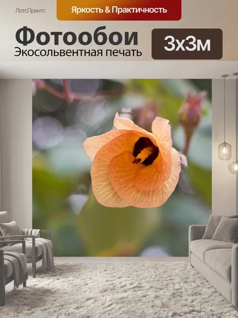 Фотообои Цветок