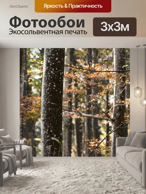 Фотообои Лес