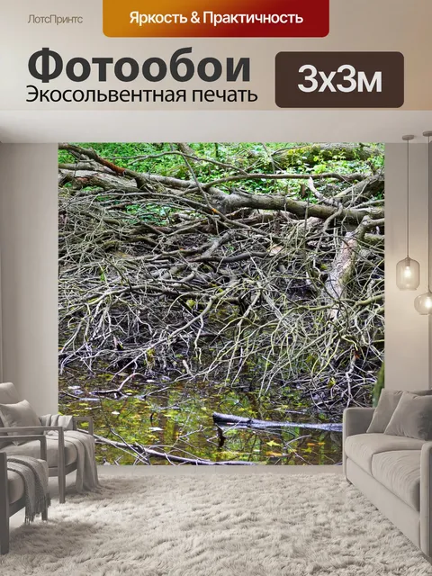 Фотообои Болото