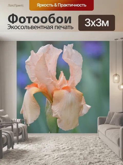 Фотообои Цветок