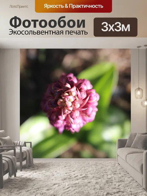 Фотообои Цветок