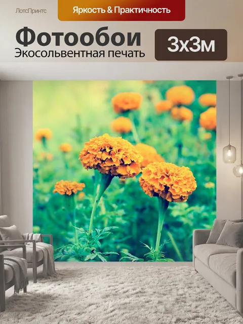 Фотообои Красивые цветы