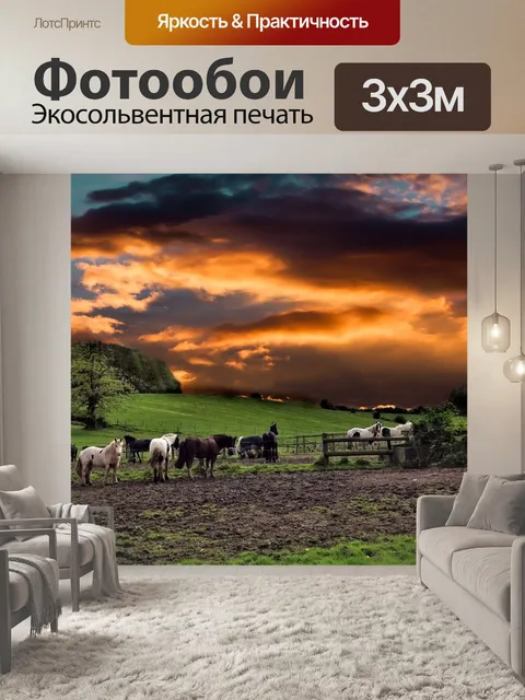 Фотообои Лошади