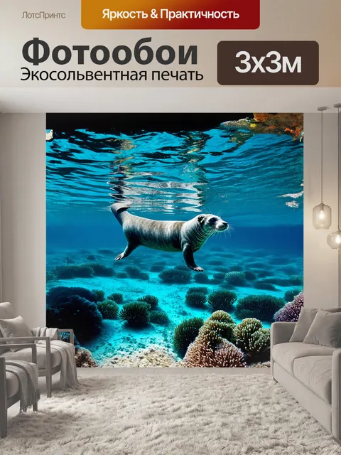 Фотообои серый тюлень, мирно скользящий под прозрачной водой кристально чистого океана, среди ярких морских растений…