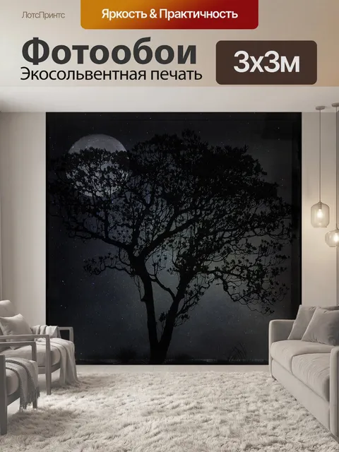 Фотообои Ночь