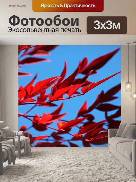 Фотообои красные листья священного бамбука осенью
