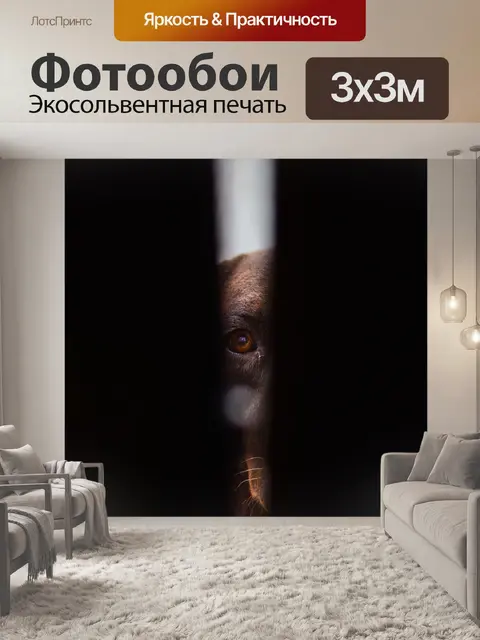 Фотообои Темный