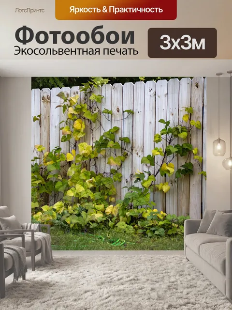 Фотообои лозы на заборе