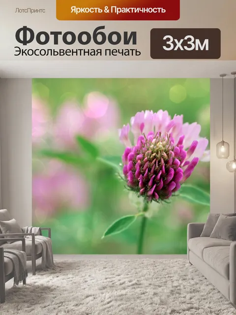 Фотообои Клевер цветущее полевое растение