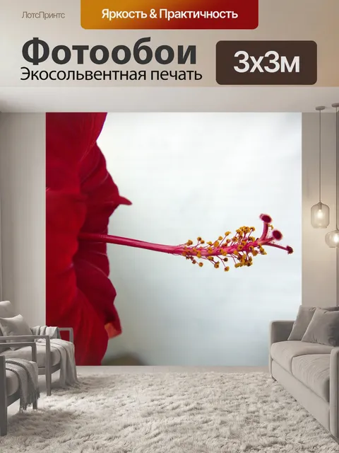 Фотообои Красный цветок