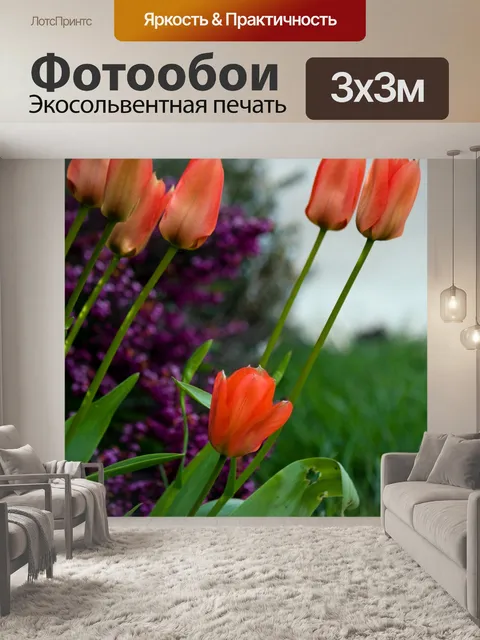 Фотообои Тюльпан цветы