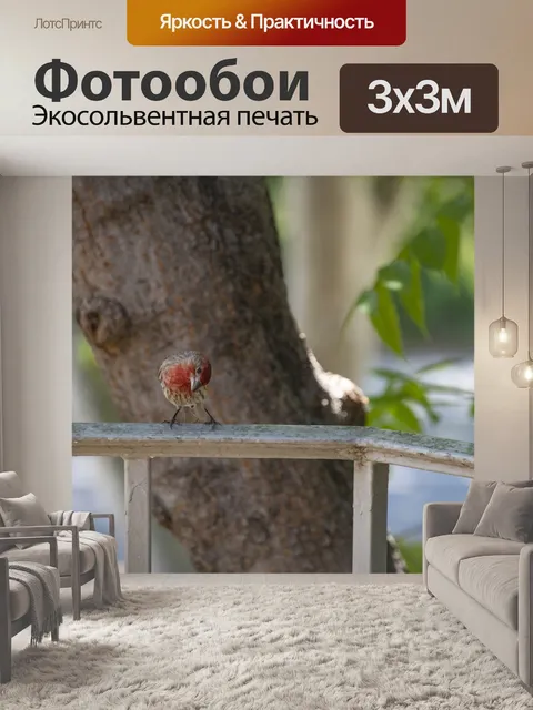 Фотообои Красная щепка птицы