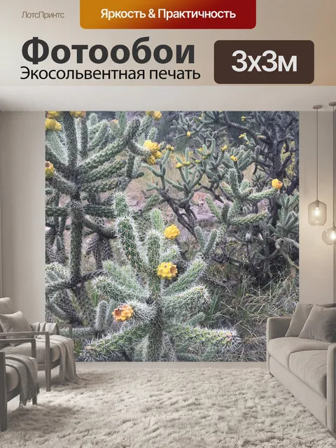 Фотообои Чолла