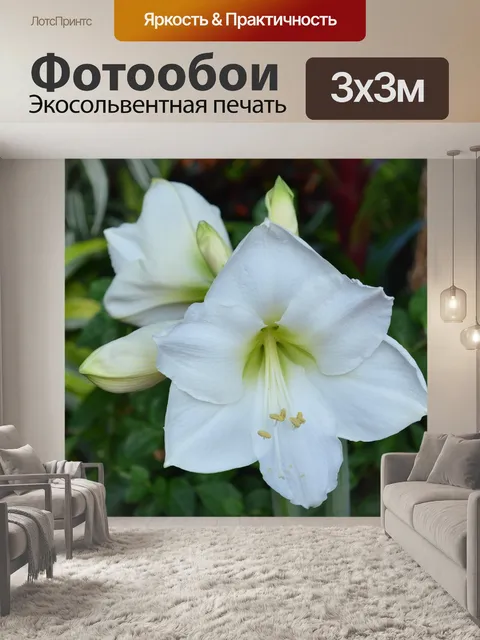 Фотообои Лили