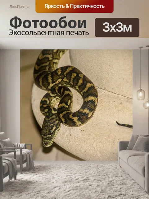 Фотообои Ковер питон