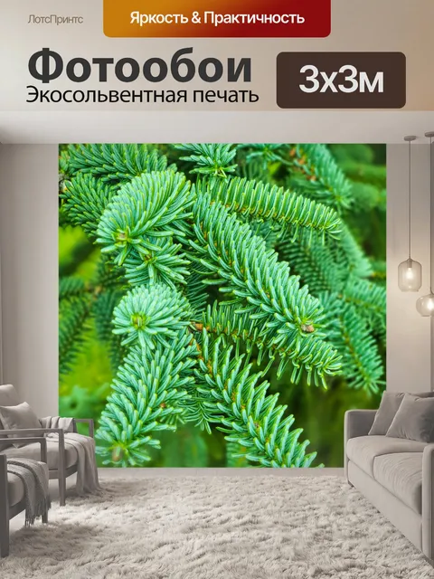 Фотообои Зеленая ветка сосны