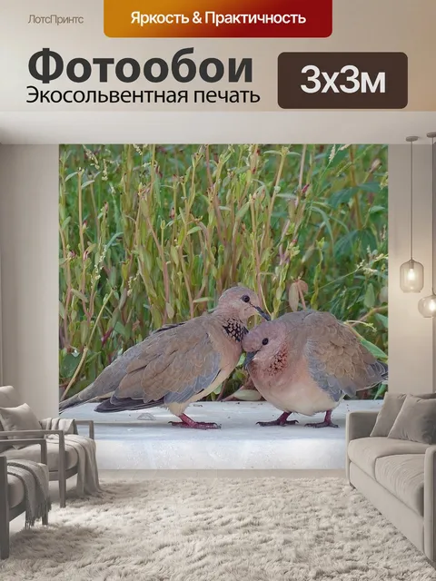 Фотообои Пальмовые голуби