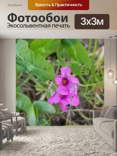 Фотообои Цветы