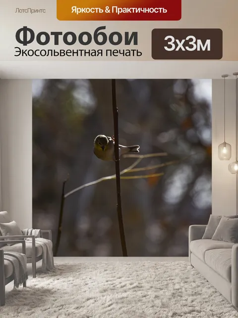 Фотообои Щегол Зимний Цвет