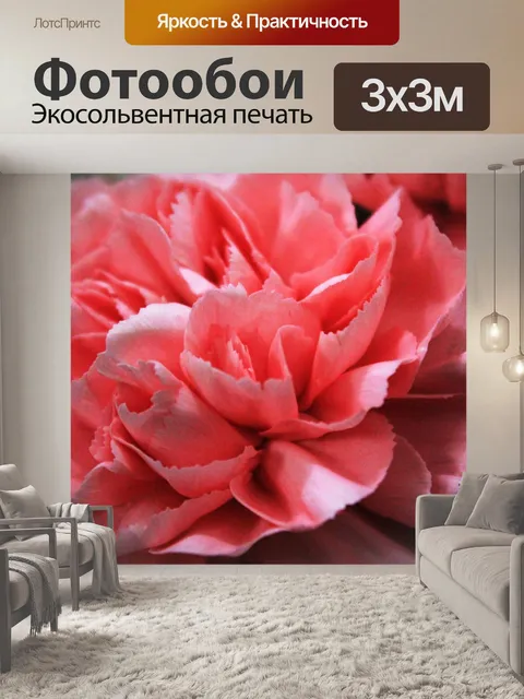 Фотообои Розовый цветок