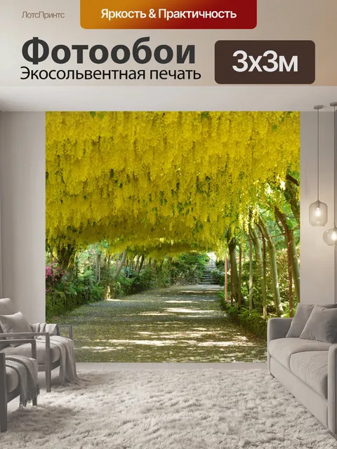 Фотообои Лабурнум арки