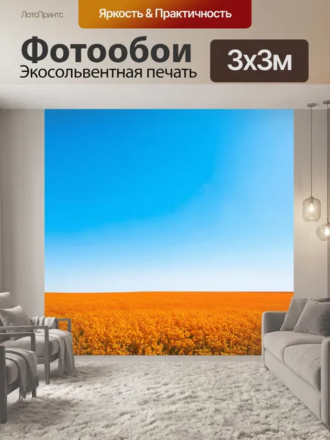 Фотообои апельсиновое поле под ярким голубым небом