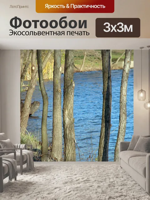 Фотообои Озеро в лесу
