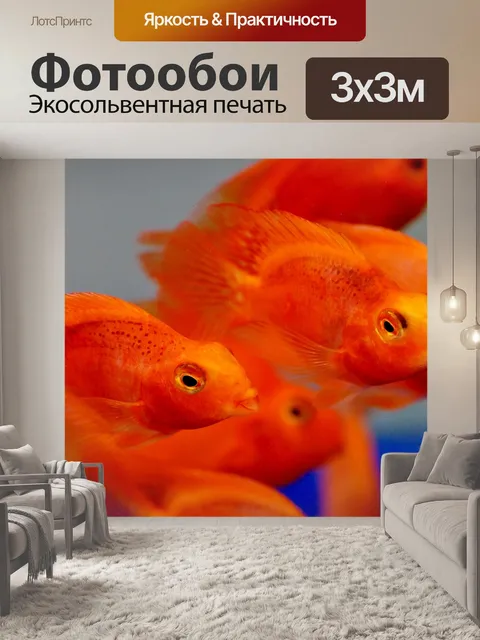 Фотообои Blood